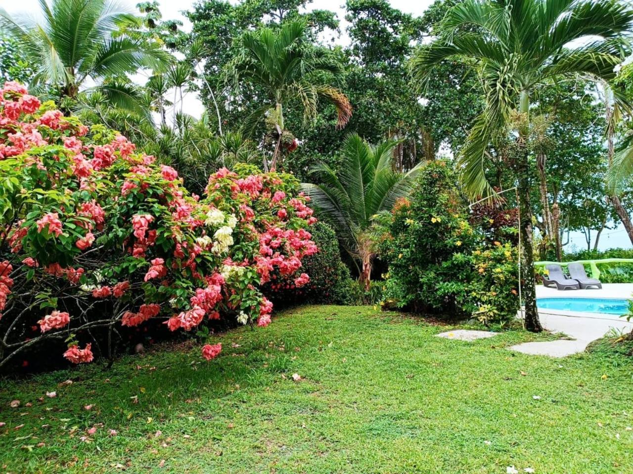 Hotel La Diosa กาอุยตา ภายนอก รูปภาพ